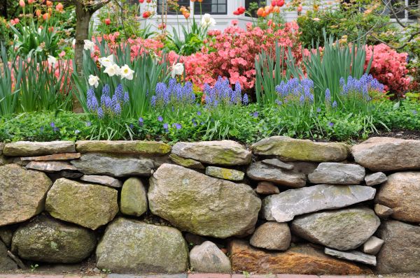 Stone Wall Hardscaping in Dacula